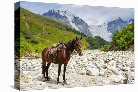 Horse standing by Adishchala River with Tetnuldi mountain peak in the background, Svaneti mountains-Jan Miracky-Premier Image Canvas