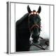 Horse Still 1-Schribler & Sons-Premier Image Canvas