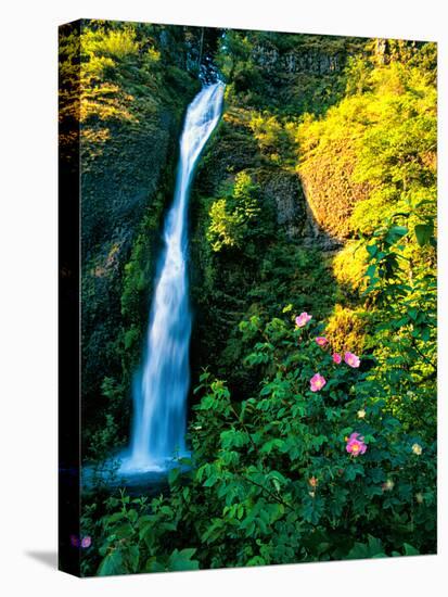 Horse Tail Falls-Ike Leahy-Premier Image Canvas