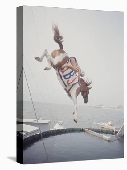 Horse with LBJ Banner Diving into the Water at Atlantic City-Art Rickerby-Premier Image Canvas