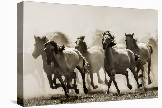 Horse-Heidi Bartsch-Premier Image Canvas