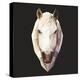 Horse-Lora Kroll-Stretched Canvas