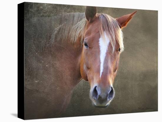 Horse-Mark Ashkenazi-Premier Image Canvas