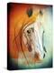 Horse-Mark Ashkenazi-Premier Image Canvas