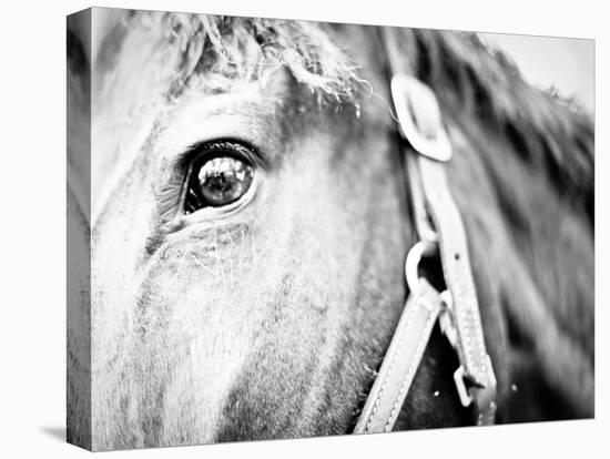 Horseback Riding I-Susan Bryant-Premier Image Canvas