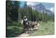 Horseback riding tour in Banff National Park, Alberta, Canada-null-Stretched Canvas