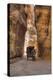 Horsecart in the Siq, Petra, Jordan, Middle East-Richard Maschmeyer-Premier Image Canvas