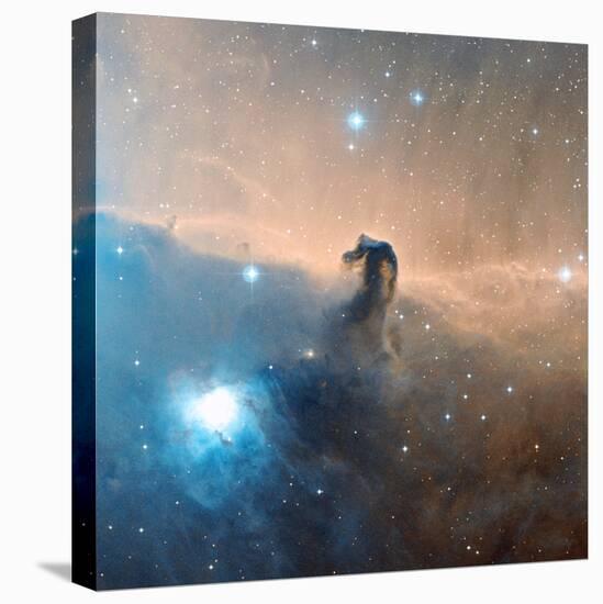 Horsehead Nebula-Davide De Martin-Premier Image Canvas