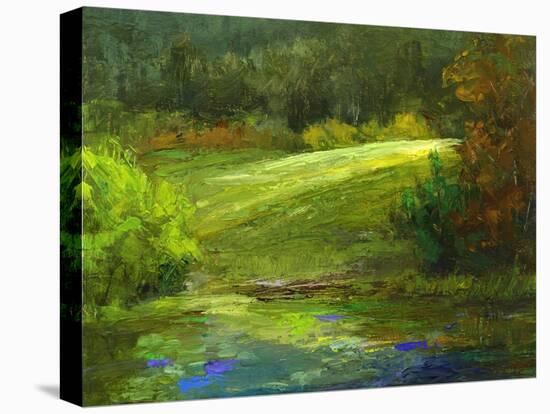 Horsepark at Woodside-Sheila Finch-Stretched Canvas