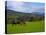 Horses and Sheep in the Barrow Valley, Near St Mullins, County Carlow, Ireland-null-Premier Image Canvas