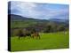 Horses and Sheep in the Barrow Valley, Near St Mullins, County Carlow, Ireland-null-Premier Image Canvas