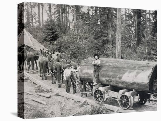 Horses are Used to Pull Large Tree Trunks on Railway Carriages in California-null-Premier Image Canvas