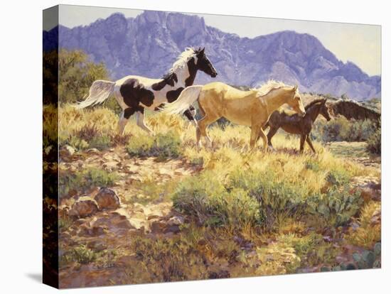 Horses at Big Wash-Claire Goldrick-Stretched Canvas