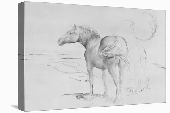 Horses at Coolmore, 1990-Antonio Ciccone-Premier Image Canvas