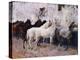 Horses at Palma, Majorca, Spain, 1908 (Oil on Canvas)-John Singer Sargent-Premier Image Canvas