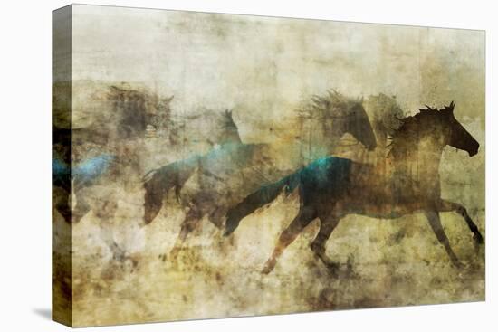 Horses, Beautiful and Free-Ken Roko-Stretched Canvas