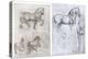 Horses, C1490-1510-Leonardo da Vinci-Premier Image Canvas