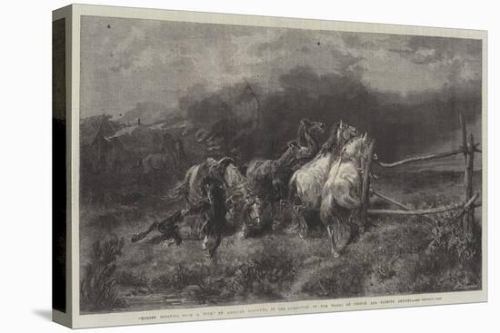 Horses Escaping from a Fire-Adolf Schreyer-Premier Image Canvas