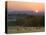Horses Graze at Sunrise, Provence, France-Jim Zuckerman-Premier Image Canvas