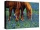 Horses Grazing Among Bluebonnets-Darrell Gulin-Premier Image Canvas