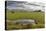 Horses Grazing by Abandon House, Vidbordssel Farm, Hornafjordur, Iceland-Arctic-Images-Premier Image Canvas