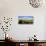 Horses grazing on paddock at horse farm, Lexington, Kentucky, USA-Panoramic Images-Premier Image Canvas displayed on a wall