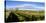 Horses grazing on paddock at horse farm, Lexington, Kentucky, USA-Panoramic Images-Premier Image Canvas