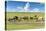 Horses grazing on the Mongolian steppe, South Hangay, Mongolia, Central Asia, Asia-Francesco Vaninetti-Premier Image Canvas