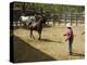 Horses, Hacienda Guachipelin, Near Rincon De La Vieja National Park, Guanacaste, Costa Rica-R H Productions-Premier Image Canvas