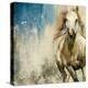 Horses I-Andrew Michaels-Stretched Canvas