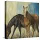Horses II-Andrew Michaels-Stretched Canvas