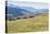 Horses, Ile-Alatau National Park, Tien Shan Mountains, Assy Plateau, Almaty, Kazakhstan, Central As-G&M Therin-Weise-Premier Image Canvas