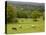 Horses in Field Near Vejle, Jutland, Denmark, Scandinavia, Europe-Yadid Levy-Premier Image Canvas