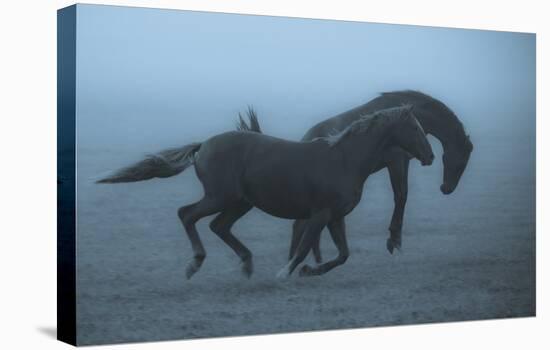 Horses In The Fog-Allan Wallberg-Stretched Canvas