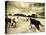Horses Running and Playing in Barren Field-Jan Lakey-Premier Image Canvas