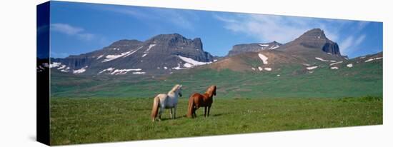Horses Standing and Grazing in a Meadow, Borgarfjordur, Iceland-null-Premier Image Canvas