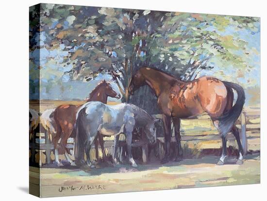 Horses - Summer Flies, 1990-Jennifer Wright-Premier Image Canvas