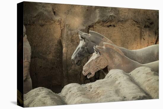 Horses, Terracotta Army, UNESCO World Heritage Site, Xian, Shaanxi, China, Asia-Janette Hill-Premier Image Canvas