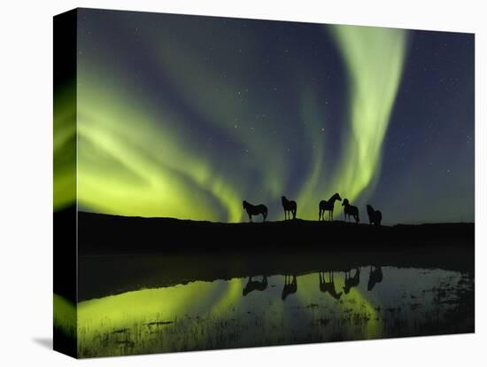 Horses under the Aurora Borealis-null-Premier Image Canvas