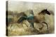 Horses, Wild and Free-Ken Roko-Stretched Canvas