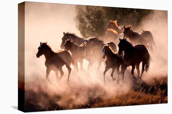 Horses-Lisa Dearing-Premier Image Canvas