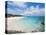 Horseshoe Bay Beach, Bermuda, Central America-Michael DeFreitas-Premier Image Canvas