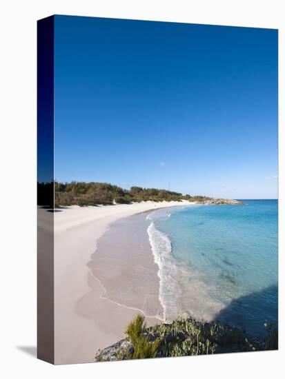 Horseshoe Bay Beach, Bermuda, Central America-Michael DeFreitas-Premier Image Canvas