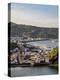 Horta seen from Monte da Guia, elevated view, Faial Island, Azores, Portugal, Atlantic, Europe-Karol Kozlowski-Premier Image Canvas