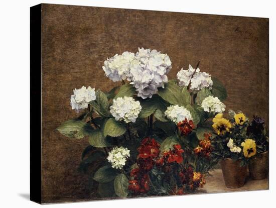 Hortensias and Stocks with Two Pots of Pansies, 1879-Henri Fantin-Latour-Premier Image Canvas