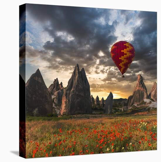 Hot Air Balloon Flying over Red Poppies Field Cappadocia Region, Turkey-Tetyana Kochneva-Premier Image Canvas