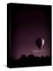Hot Air Balloon-David Ridley-Premier Image Canvas