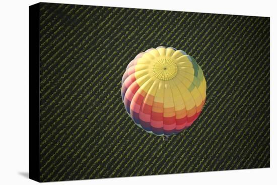 Hot Air Ballooning Above the Vineyards in Napa Valley, California-Greg Boreham-Premier Image Canvas