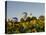 Hot Air Ballooning over Fields of Sunflowers in the Early Morning, Charente, France, Europe-Groenendijk Peter-Premier Image Canvas