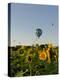 Hot Air Ballooning over Fields of Sunflowers in the Early Morning, Charente, France, Europe-Groenendijk Peter-Premier Image Canvas